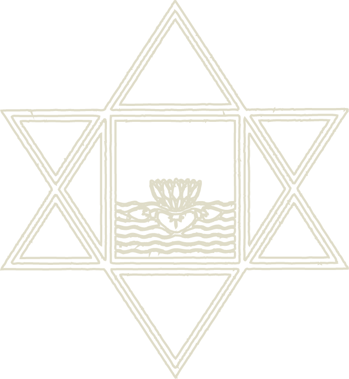 SA simbolo dourado transparente